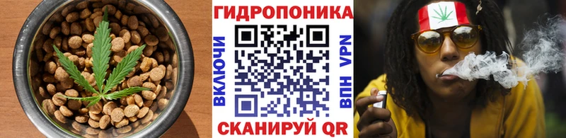 Canna-Cookies марихуана  блэк спрут вход  Котельники  купить наркоту 