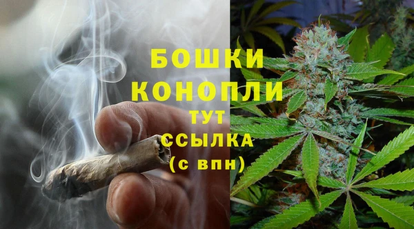гидра Нефтегорск