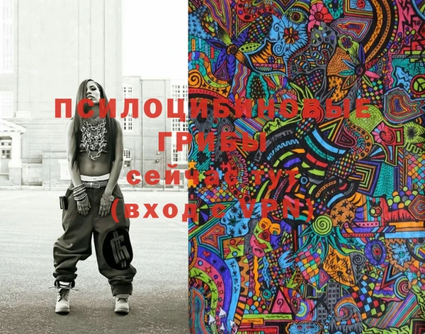 mix Бородино