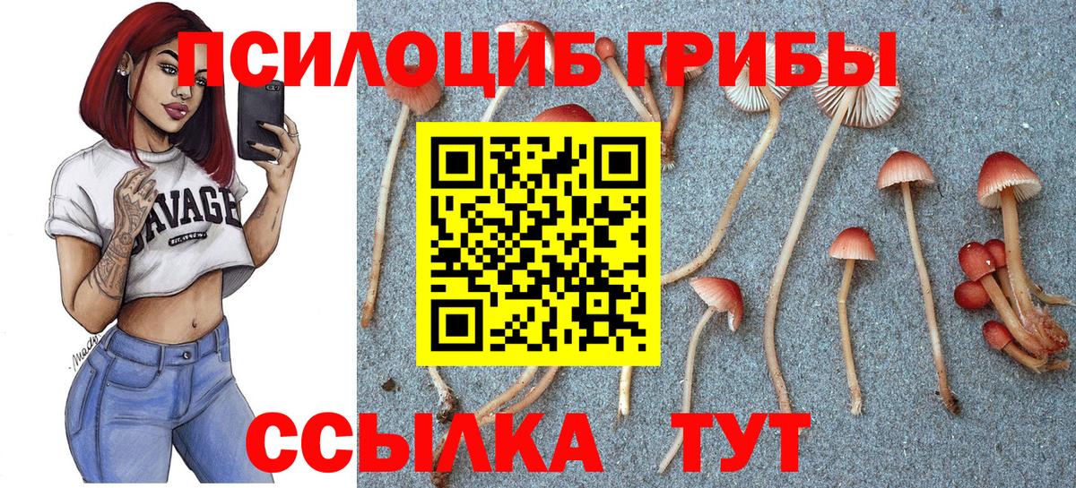 Галлюциногенные грибы ЛСД  Псилоцибиновые грибы прущие грибы  Котельники 