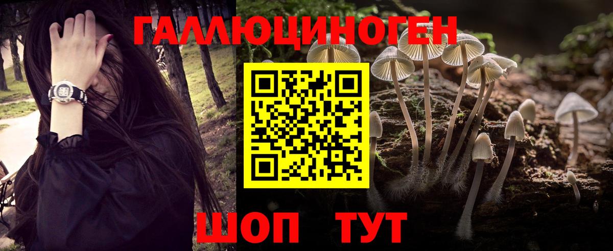 Галлюциногенные грибы мицелий Котельники