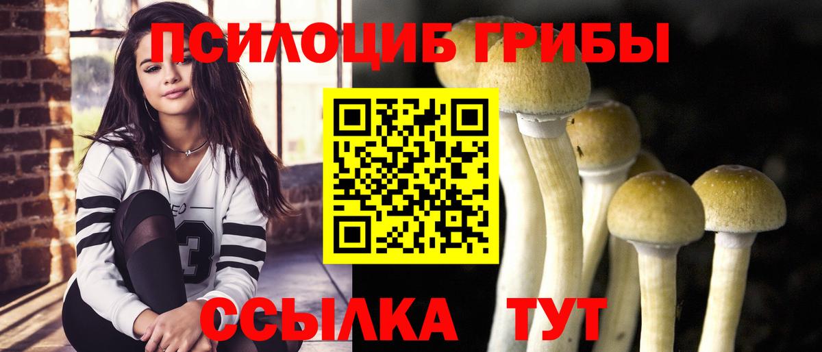 Галлюциногенные грибы мицелий  Галлюциногенные грибы GOLDEN TEACHER  купить закладку  Котельники  Вход с VPN 