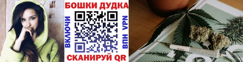 наркошоп  Котельники  сайты даркнета наркотические препараты  Бошки марихуана White Widow 